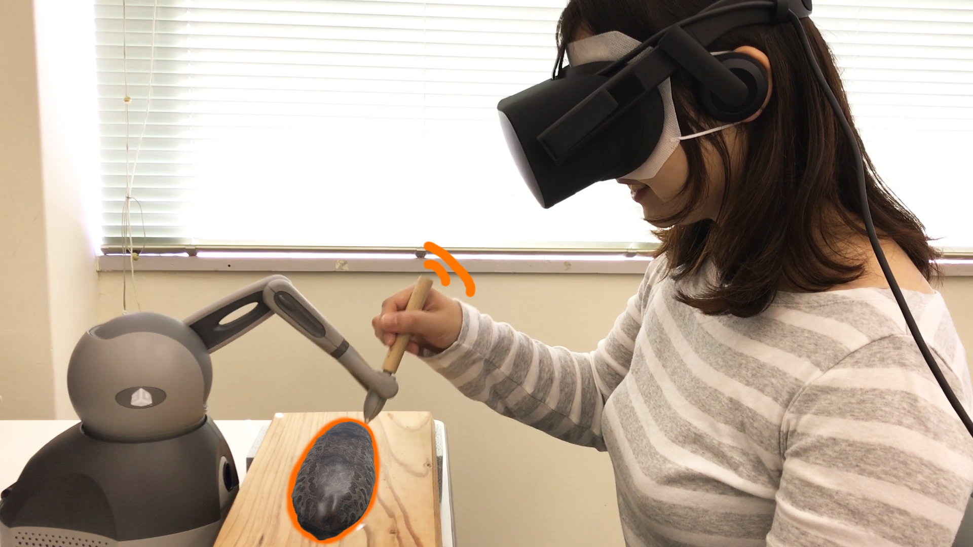 ナマコの触覚VR